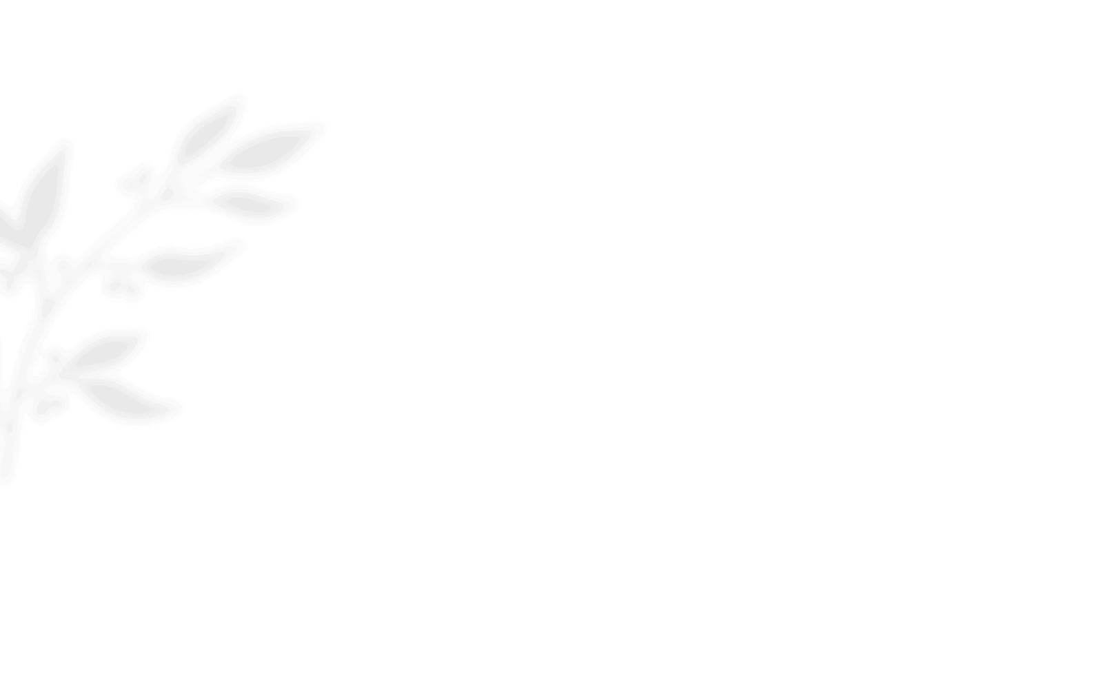 luxury floral designer