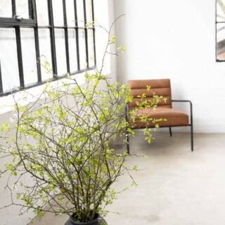 Luxury Event Florist London